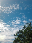 alligator sky, clouds